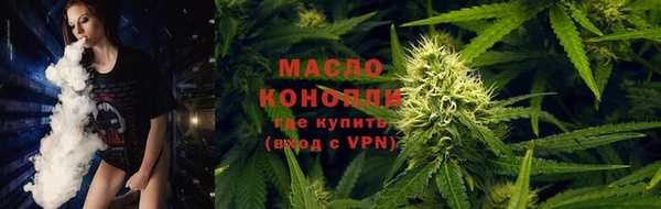 скорость Новозыбков