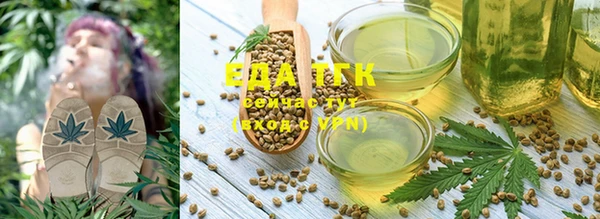 скорость Новозыбков