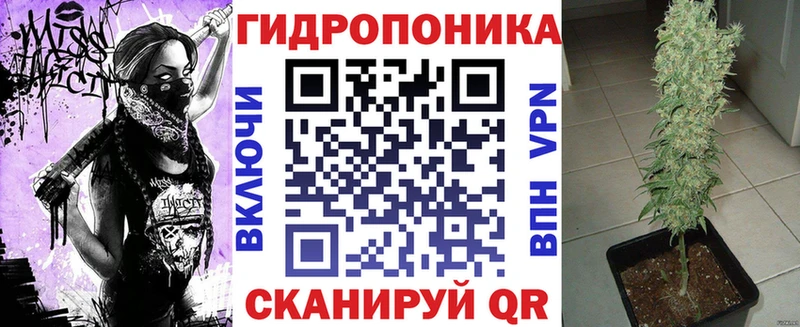 гидра tor  как найти наркотики  Печоры  Каннабис семена 
